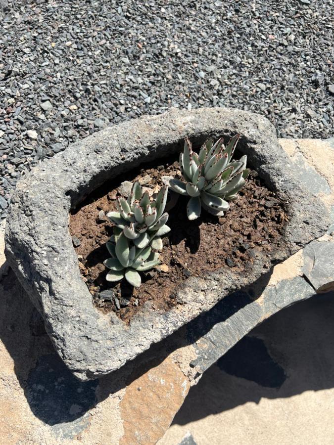 Casa Rural Con Bano Adaptado Y Piscina En Mogán エクステリア 写真