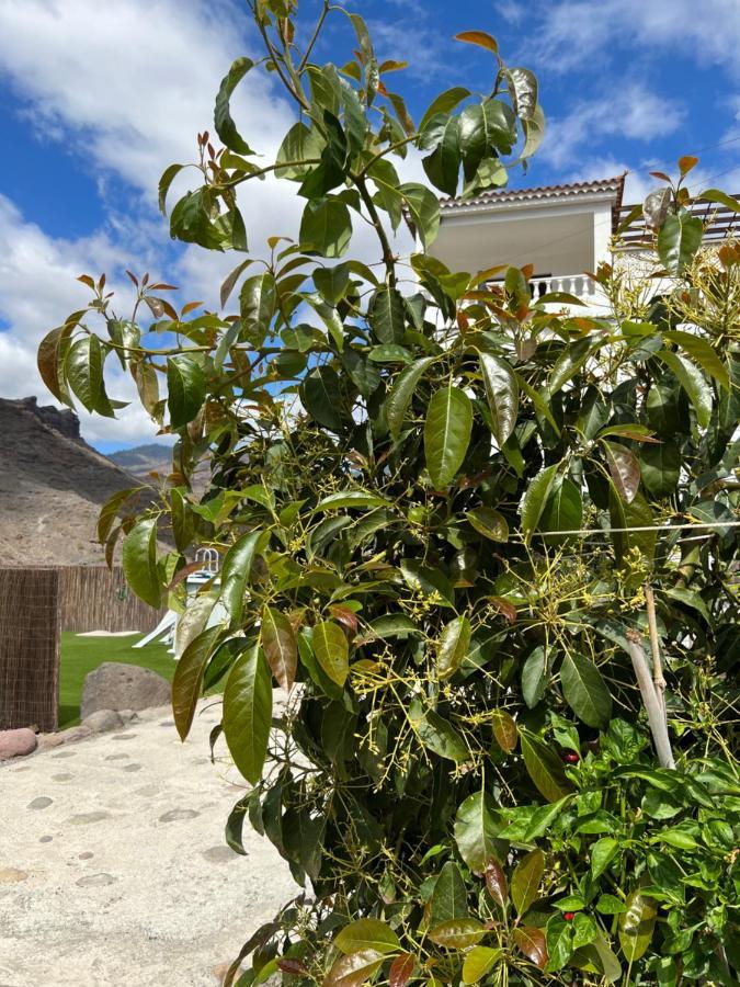 Casa Rural Con Bano Adaptado Y Piscina En Mogán エクステリア 写真